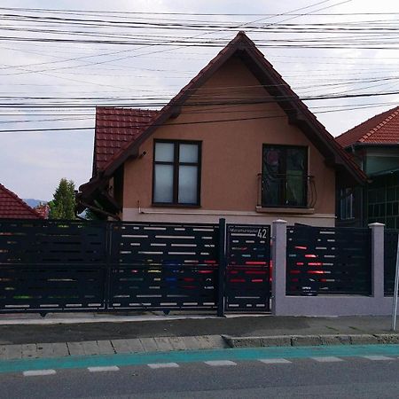 Haffner Studio Kluż-Napoka Zewnętrze zdjęcie